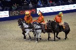 Quadrille - 00109